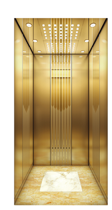 個(gè)人家用電梯價(jià)格 小型電梯旋轉(zhuǎn)樓梯 觀光電梯液壓二層電梯別墅電梯