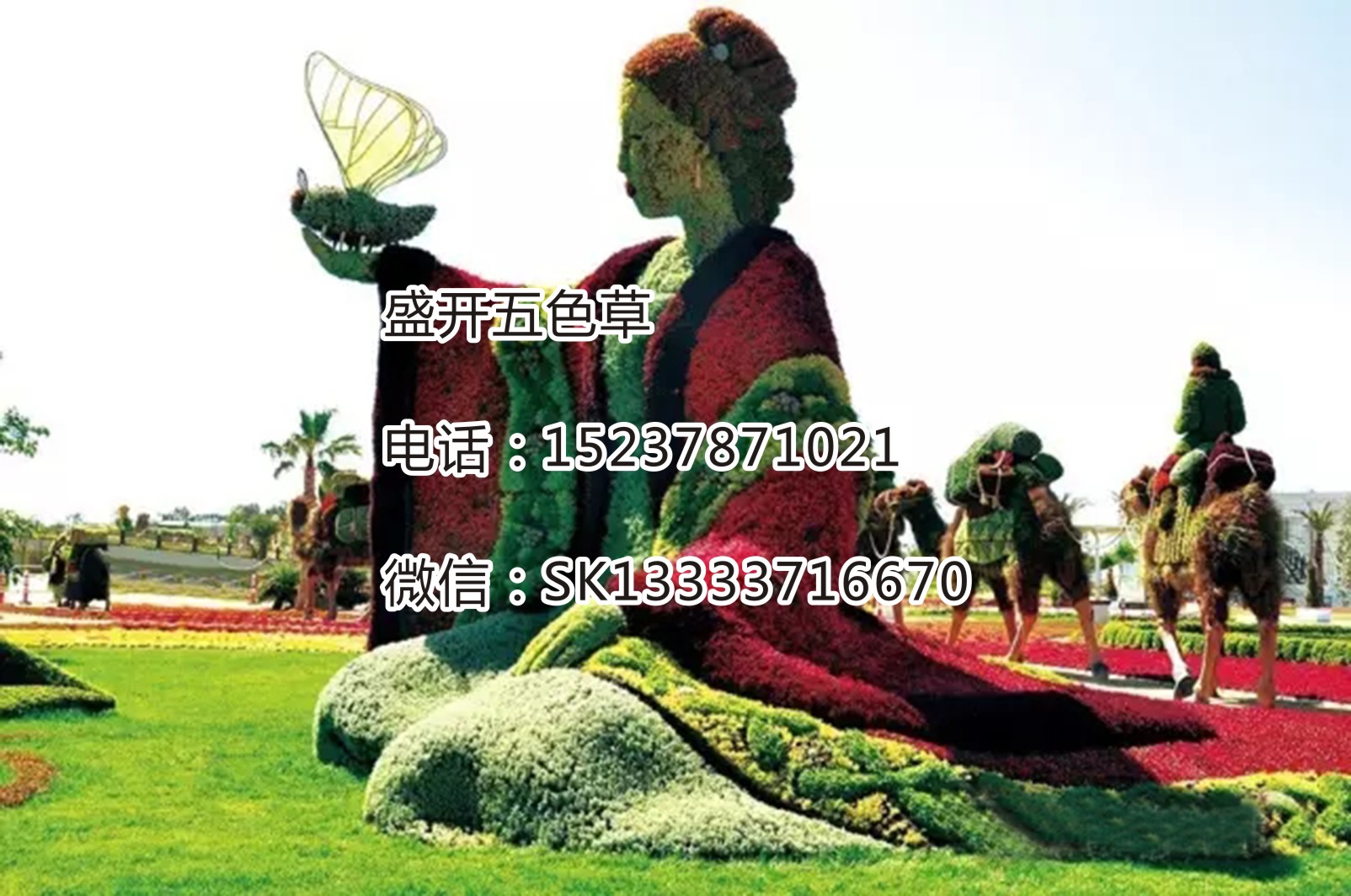 可以反復(fù)使用－立體花壇植物，立體花壇，新型立體花壇