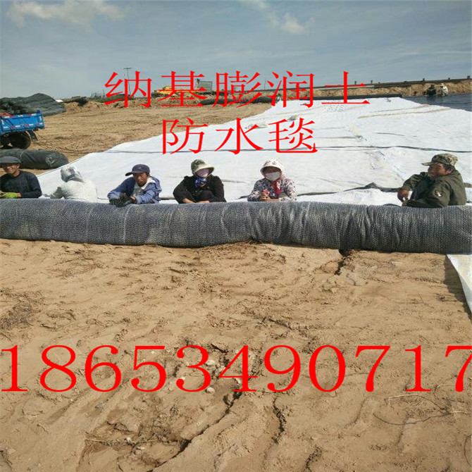 膨潤土防水毯河道 濕地公園防滲用防水毯 河道防滲用覆膜防水毯