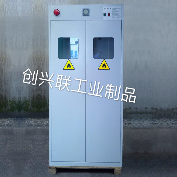 湖南自動氣瓶柜 長沙雙瓶實驗室排風(fēng)氣瓶柜 化學(xué)品氣瓶柜