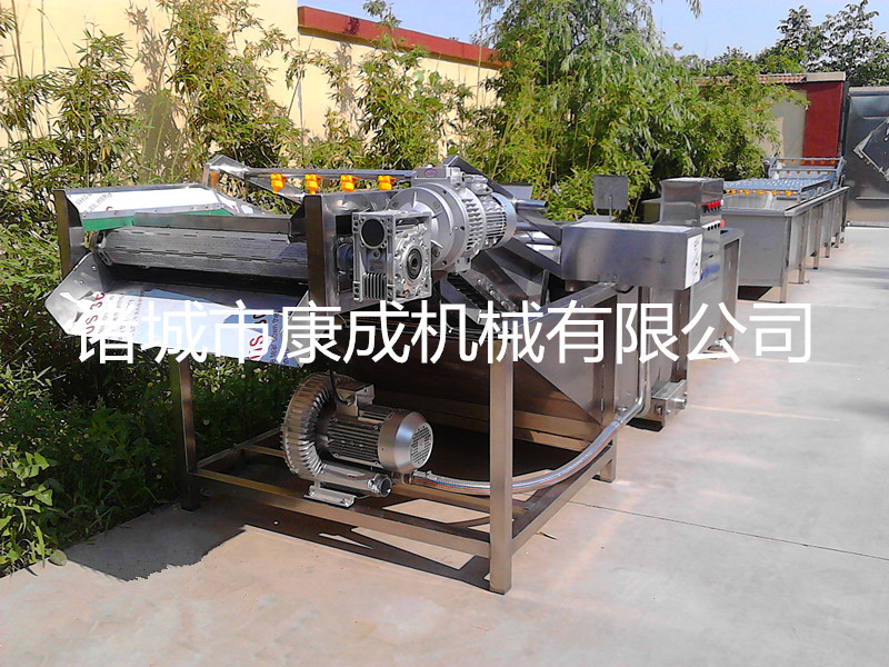 百合清洗機(jī)百合加工流水線