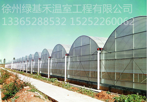 溫室大棚廠家溫室大棚安裝蔬菜大棚日光溫室連棟溫室
