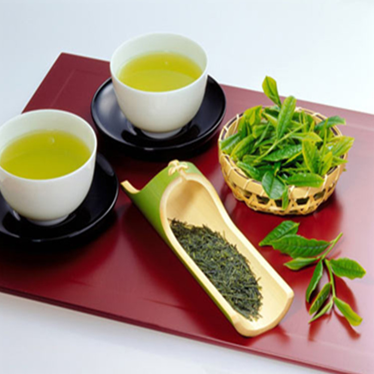 陜西中鑫生物供應(yīng)綠茶提取物*40%-98%  兒茶素30%-95%  EGCG 98%