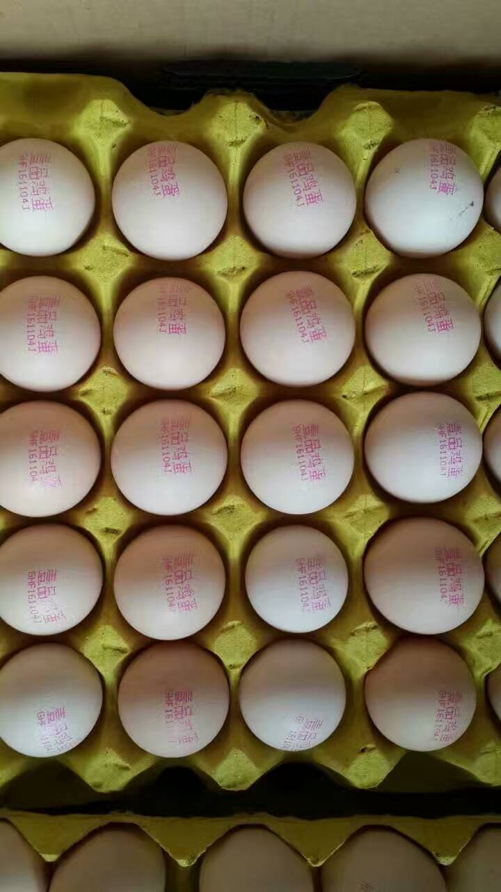 深圳雞蛋噴碼機(jī)移動(dòng)平臺(tái)