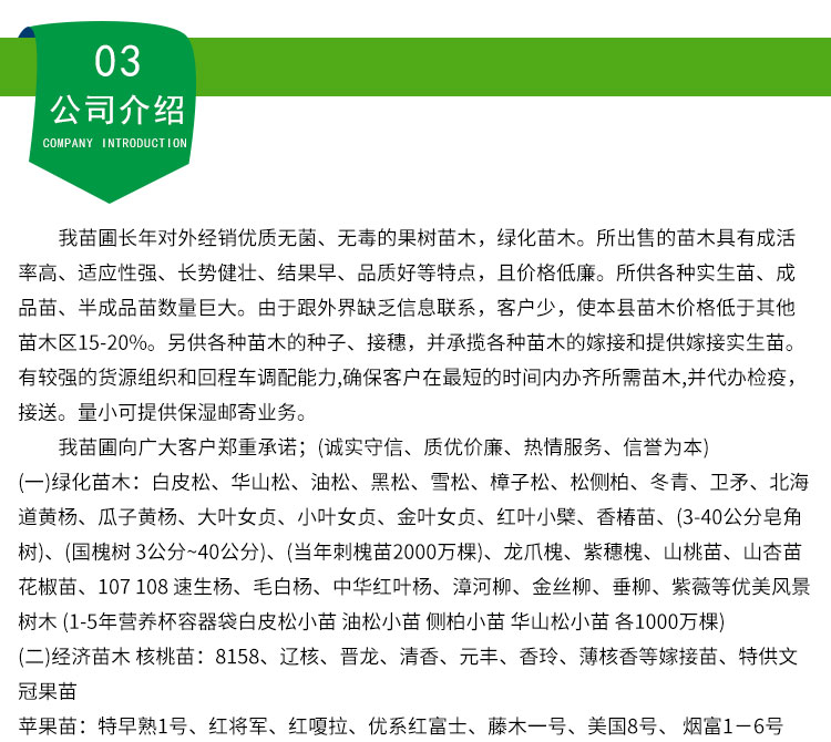 白皮松，山西白皮松價(jià)格，山西白皮松批發(fā)，山西白皮松基地