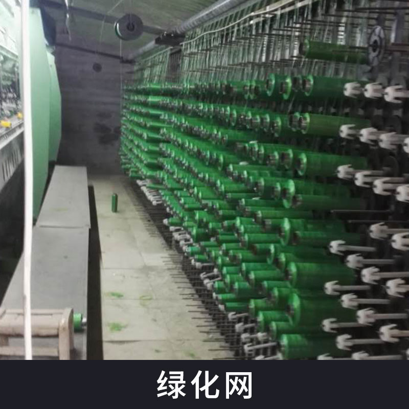 熱塑性樹脂防水土流失護(hù)坡綠化網(wǎng)批發(fā)植被土壤固土三維網(wǎng)土工網(wǎng)墊