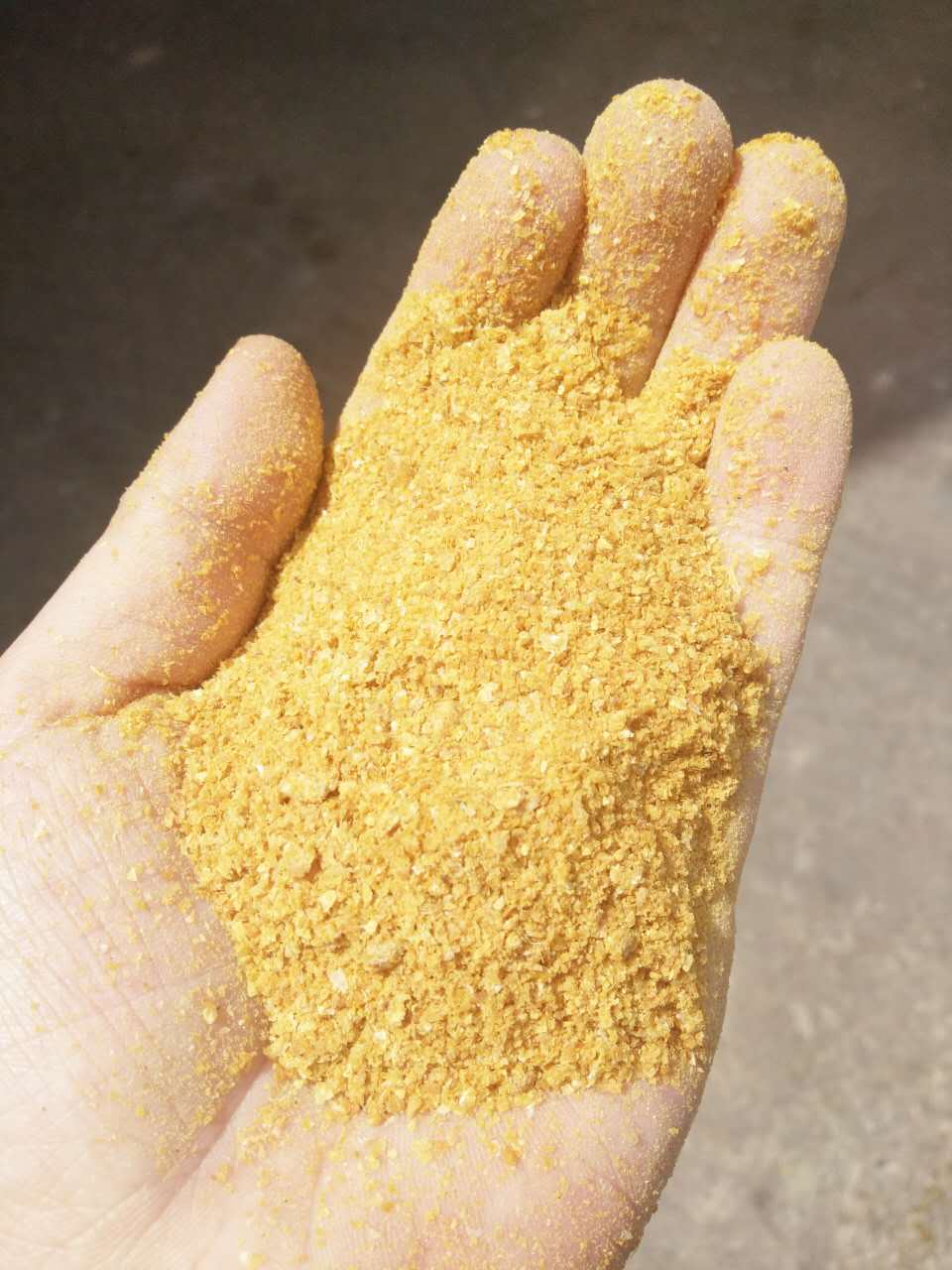 玉米DDGS   噴漿玉米皮   玉米蛋*