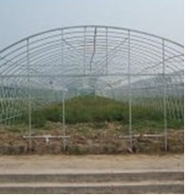 連棟溫室大棚常用4分-2.5寸大 連棟溫室大棚設(shè) 連棟溫室大棚設(shè)備及配件