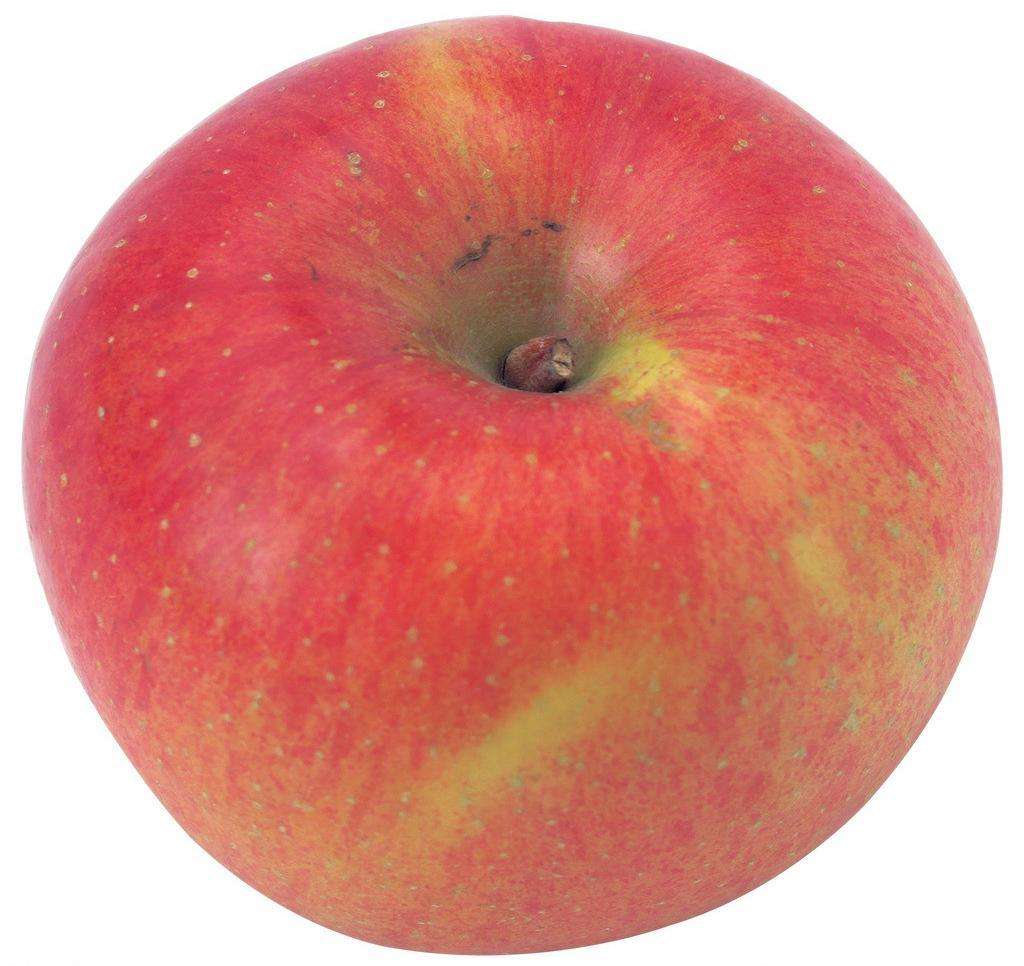 山西蘋果批發(fā)、蘋果批發(fā)價格、山西蘋果報價