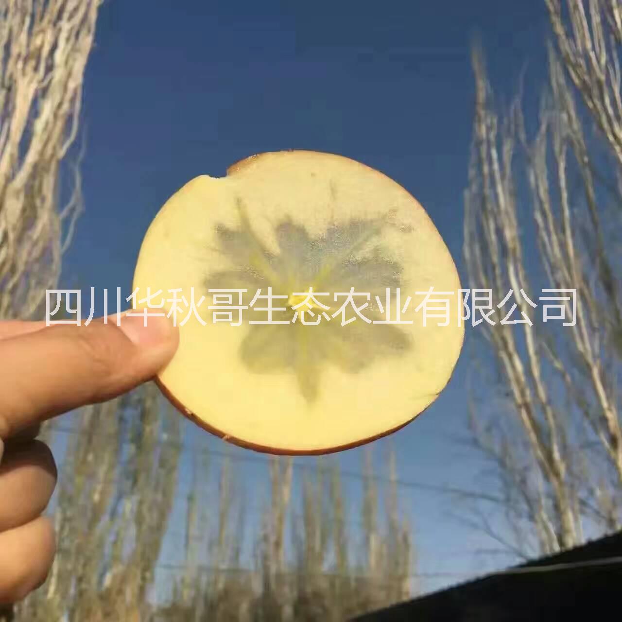 大涼山鹽源蘋果糖心紅富士丑蘋果@糖心丑蘋果@鹽源蘋果
