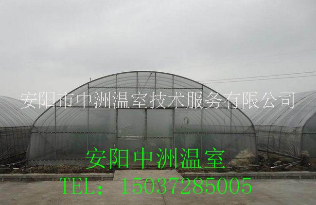 圓管拱棚安陽中洲、鍍鋅圓管拱棚