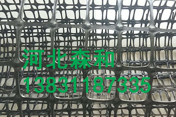 河北森和塑料拉伸網(wǎng),假頂網(wǎng)護(hù)幫網(wǎng),專業(yè)化生產(chǎn),質(zhì)優(yōu)價廉