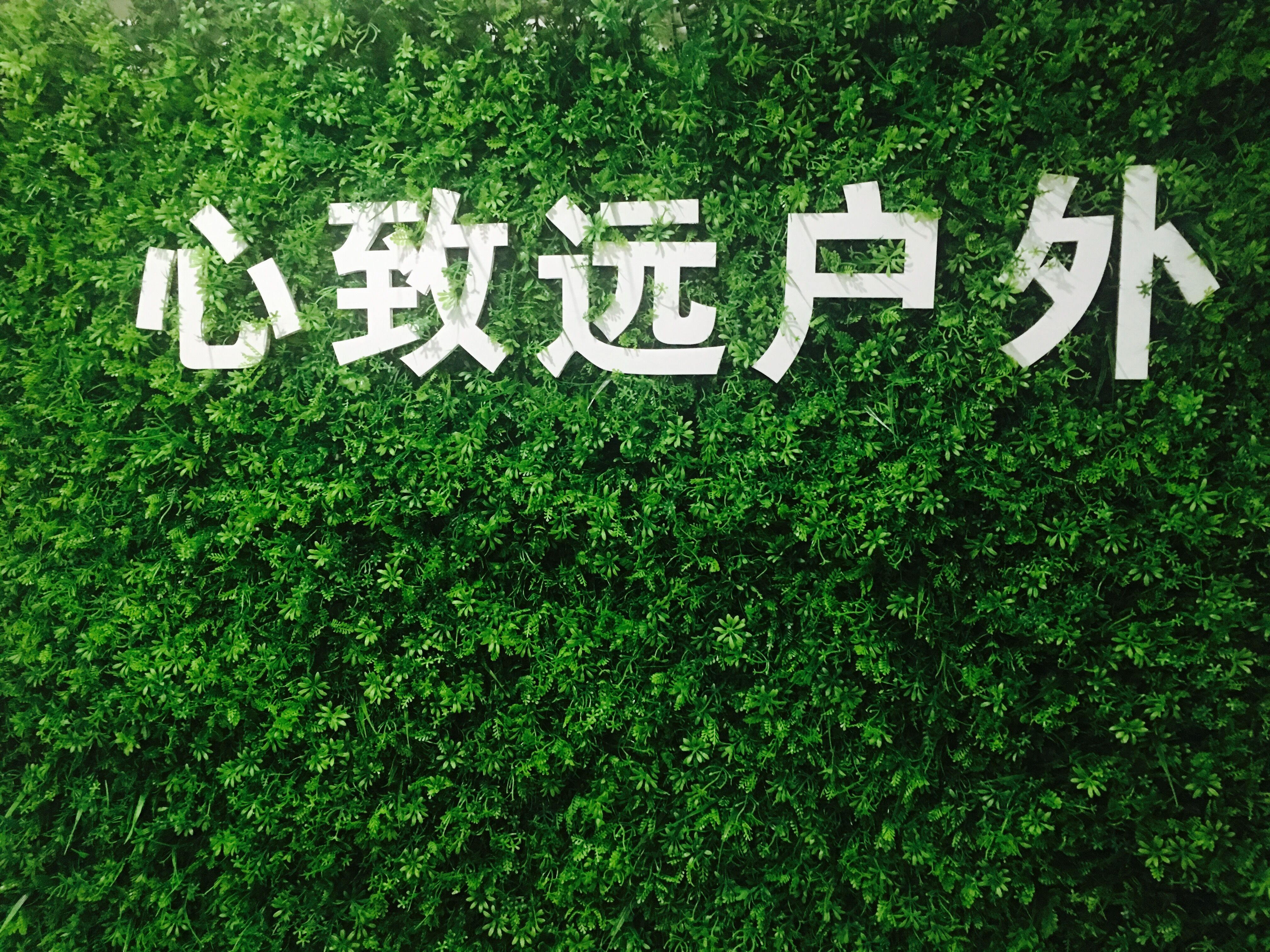 心致遠(yuǎn)戶外交友俱樂部