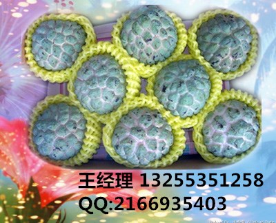 *玫瑰花網(wǎng)套機，芒果蔬菜網(wǎng)套機，蘋果網(wǎng)袋機械