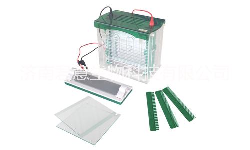 雙垂直電泳儀@雙垂直電泳槽@雙垂直電泳儀廠家@雙垂直電泳槽價格