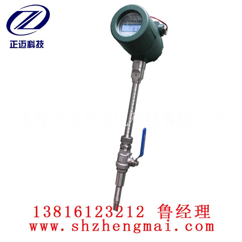 氣體質(zhì)量流量計 熱式氣體質(zhì)量流量計 氣體流量計 流量計價格