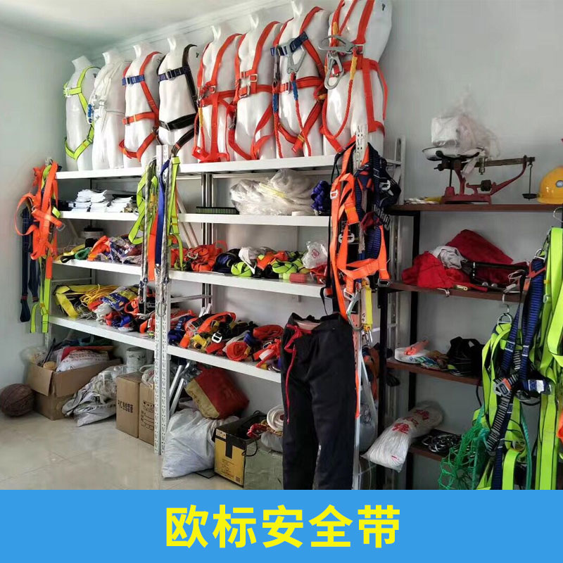 歐標(biāo)安全帶  高空作業(yè)雙背保險帶消防安全高空防墜救援防護帶