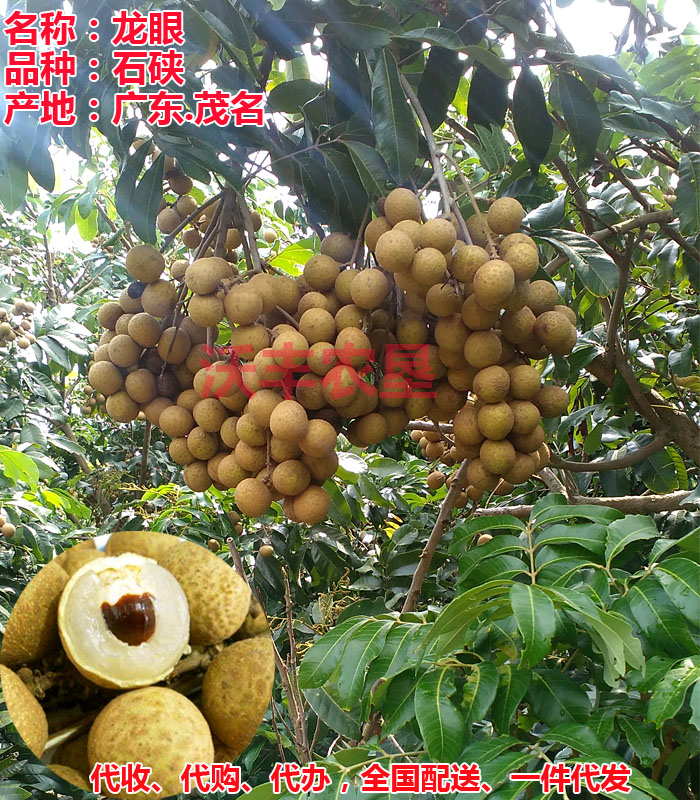 龍眼（桂圓）雞心黃皮果