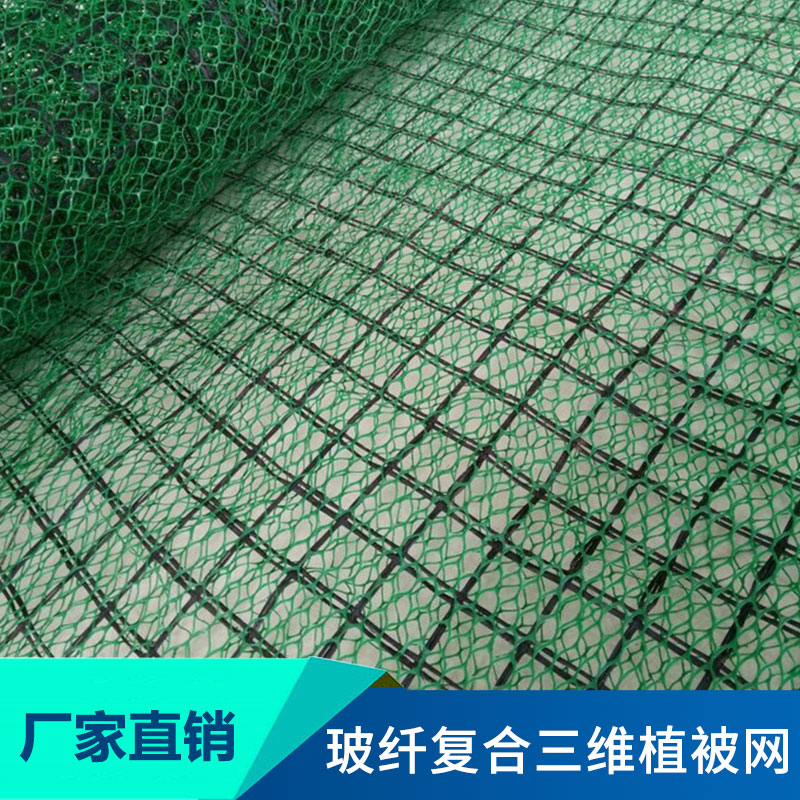 三維植被網批發(fā)|三維植被網墊廠家直銷|三維網墊銷售報價