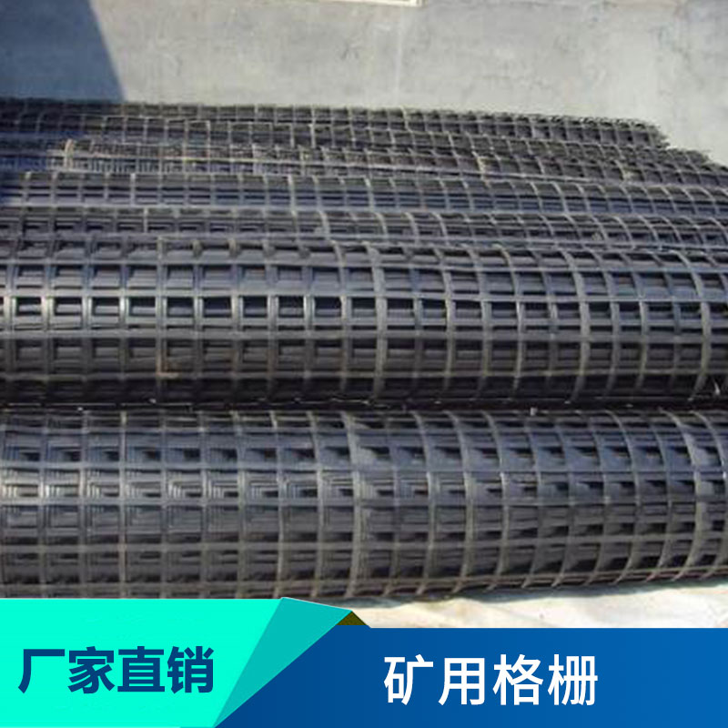 泰安九洲土工材料礦用格柵煤礦井巷道支護(hù)護(hù)幫土工格柵護(hù)幫網(wǎng)批發(fā)