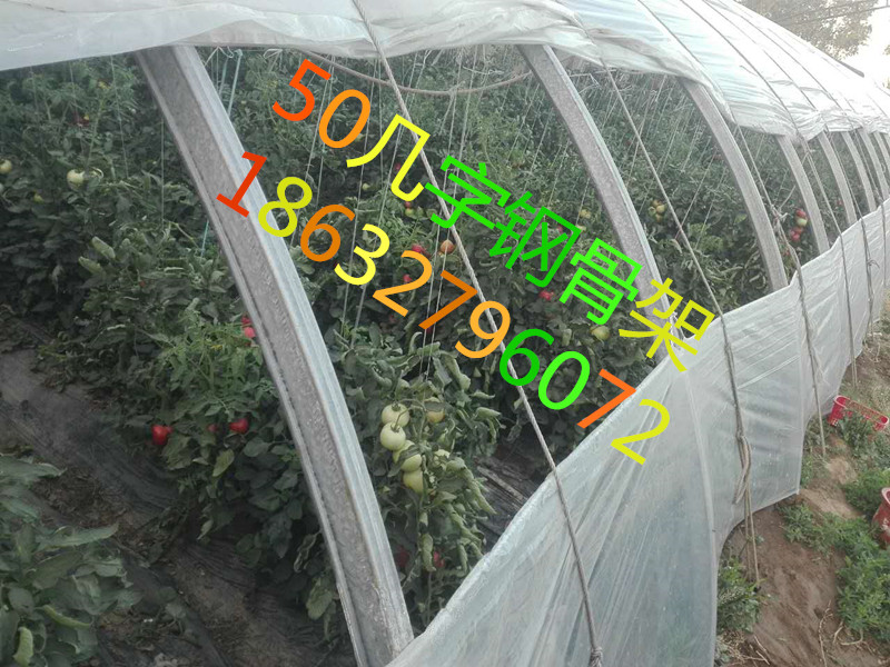 遼寧幾字鋼廠家 熱鍍鋅幾字鋼價(jià)格 70幾字鋼廠家直銷