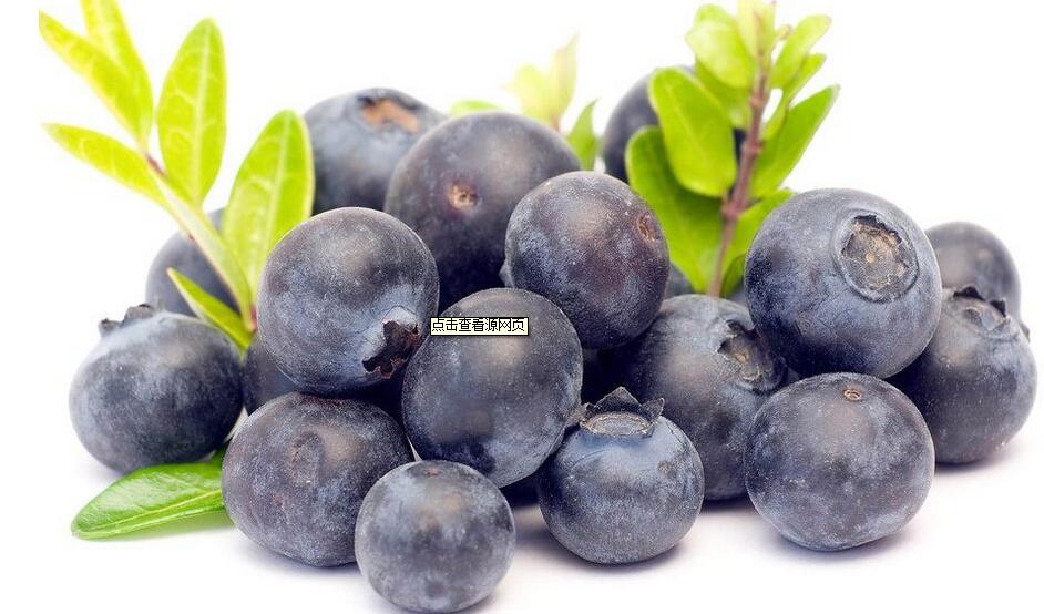 供藍(lán)莓濃縮汁，*濃縮果汁原