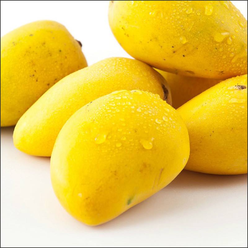 供進口天然濃縮果汁，芒果濃縮汁