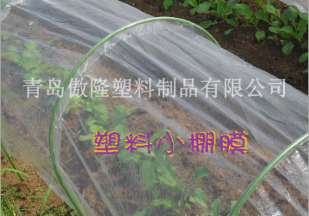 LLDPE塑料打孔小棚膜，/塑料棚膜/塑料薄膜 青島打孔小棚膜 青島小棚膜 打孔小棚膜批發(fā) 打孔小棚膜廠家