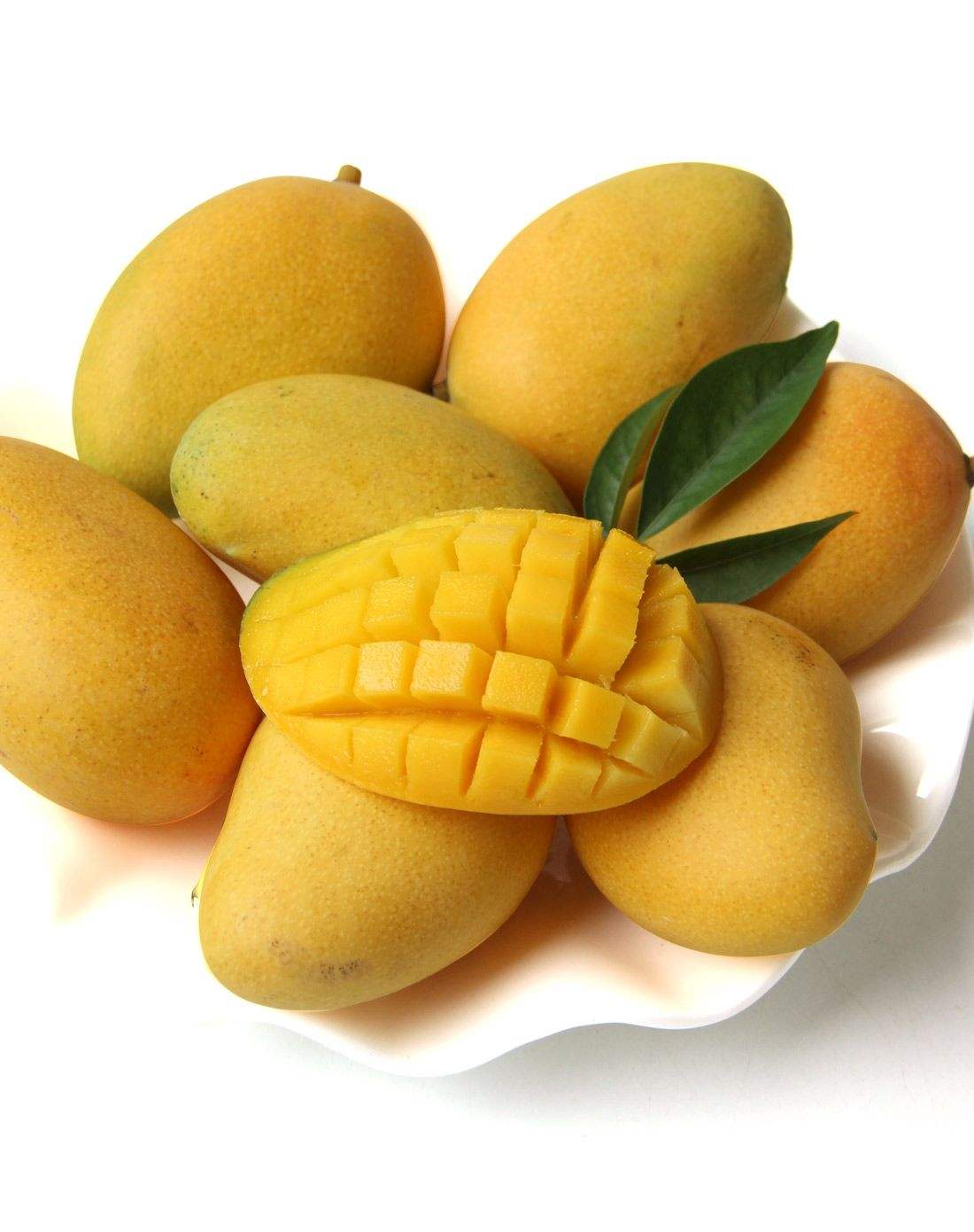 供進口天然濃縮果汁，芒果濃縮汁