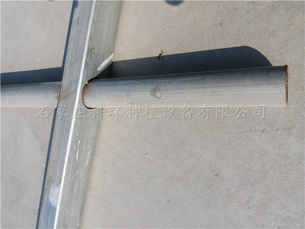 藁城草莓種植槽規(guī)格13cm18c，藁城草莓無土栽培廠家