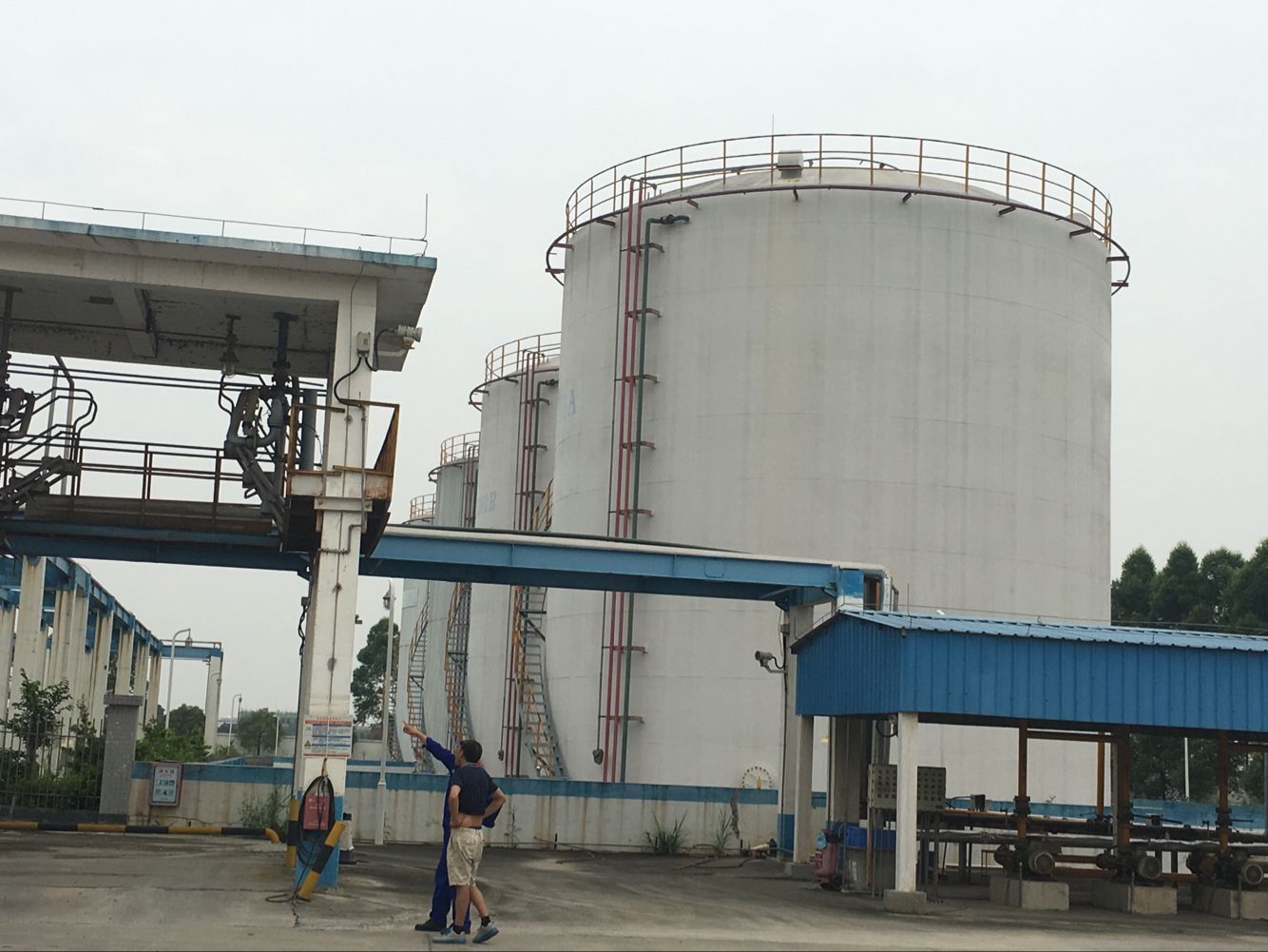 醇酯十二 高純度醇酯十六 廣泛用于建筑涂料 乳液成膜助劑