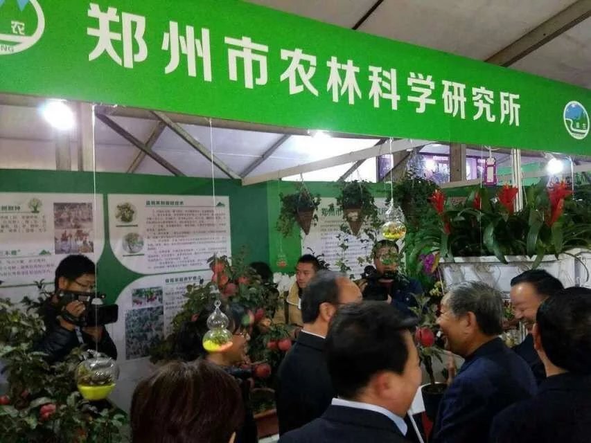 2021第八屆鄭州花卉園藝展覽會