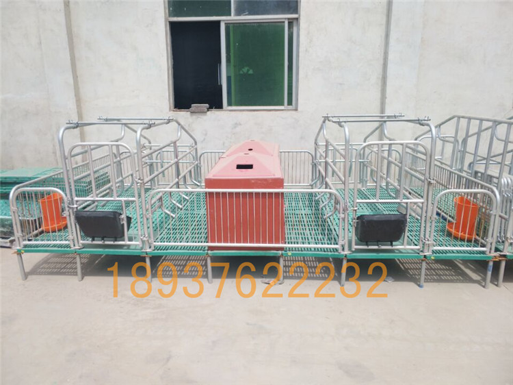 母豬產(chǎn)床 豬用分娩欄 產(chǎn)床