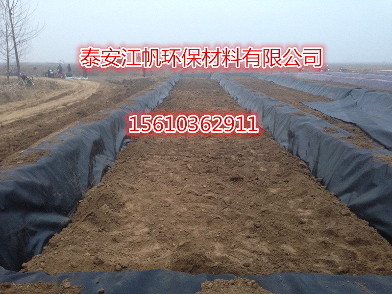 南陽超寬藕池防滲土工膜廠家 藕池膜報(bào)價(jià) 防滲膜生產(chǎn)廠家價(jià)格