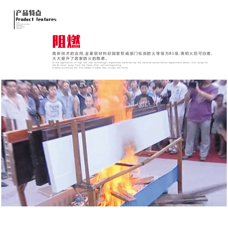桐佳藝木塑門 環(huán)保門 竹木纖維室內(nèi)門防水阻燃廠家直銷