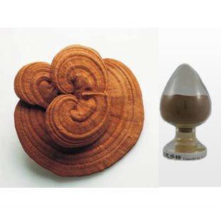 方格*靈芝提取物