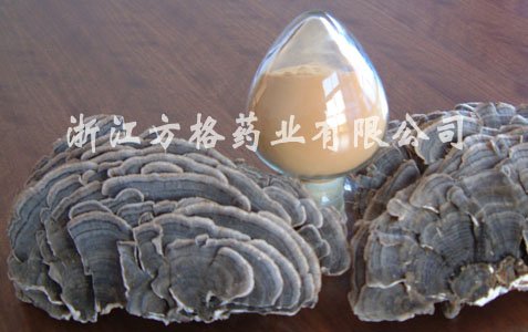 方格*云芝提取物