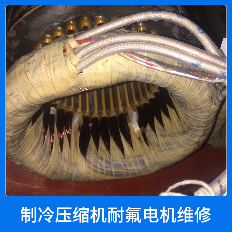 制冷壓縮機(jī)耐氟電機(jī)維修制冷壓縮機(jī)電機(jī)空調(diào)壓縮機(jī)電機(jī)維修保養(yǎng)