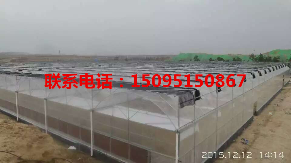 花卉溫室批發(fā)，長沙花卉溫室批發(fā)，永州花卉溫室批發(fā)