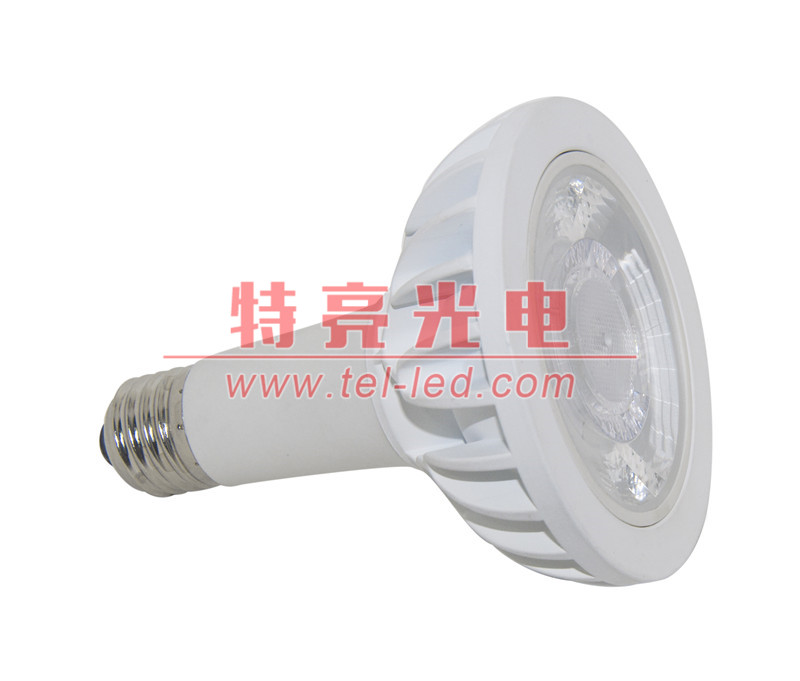 par30 OSRAM 歐司朗射燈 *長款PAR30LED射燈