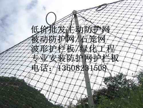 青海被動防護網(wǎng)|西寧被動防護網(wǎng)廠家|專業(yè)生產(chǎn)安裝公司