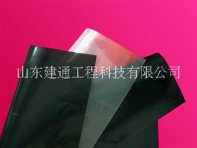 山東土工膜 山東土工膜廠家 山東土工膜價格 土工膜圖片