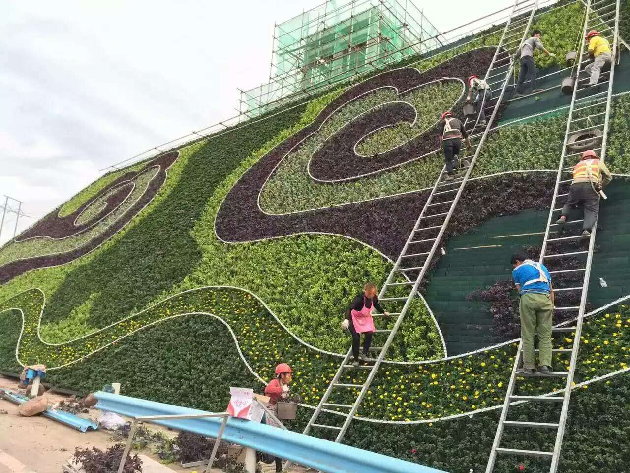 開封新園五色草造型