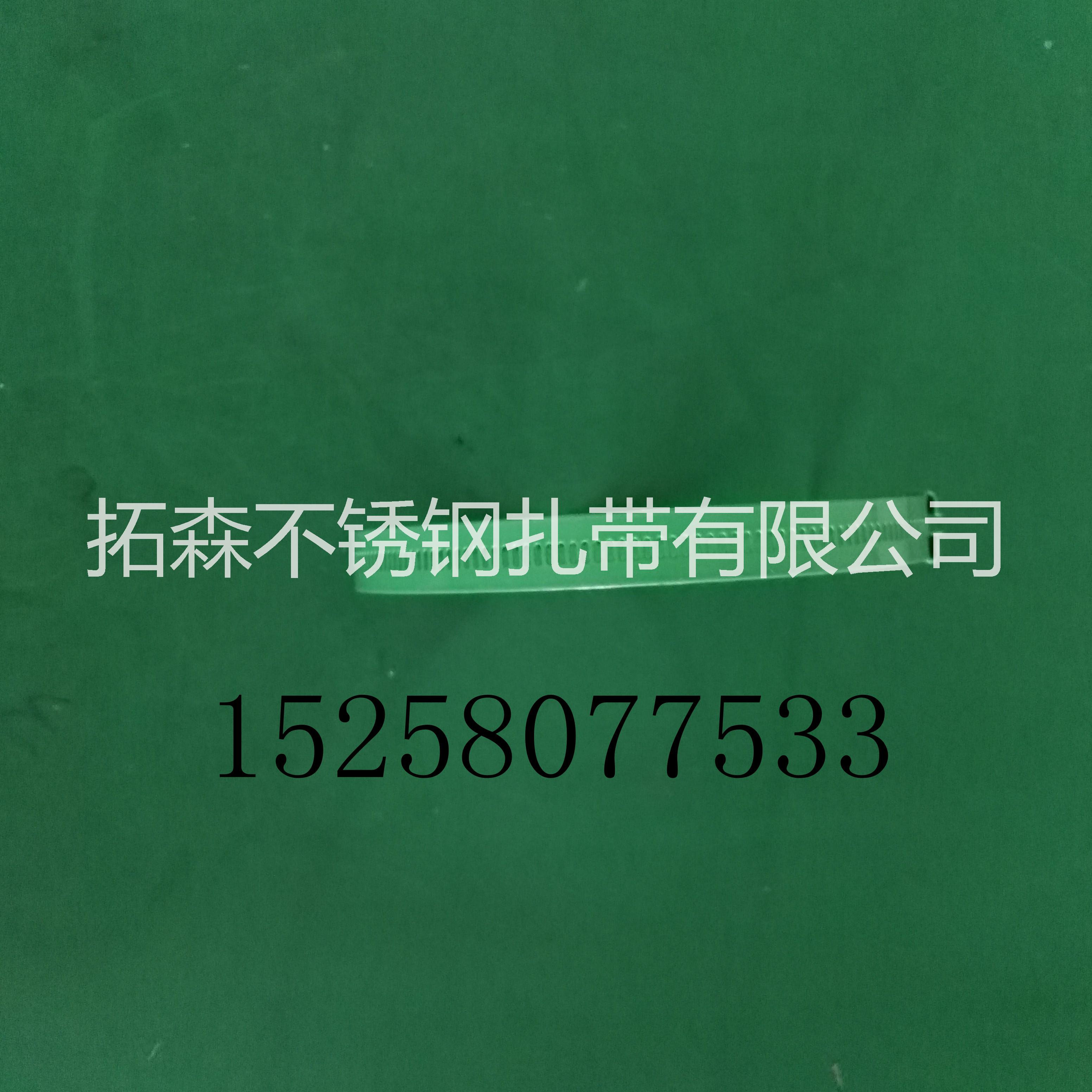 東菀 深圳 階梯式不銹鋼扎帶 金屬扎帶銷售