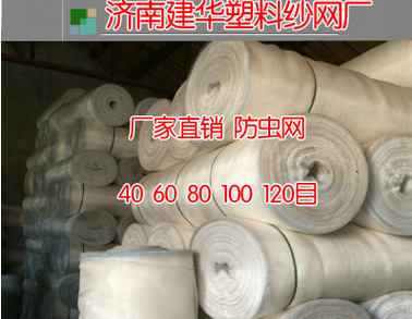 40目防蟲網(wǎng) 建華防蟲網(wǎng)廠家 專業(yè)生產(chǎn)防蟲網(wǎng) 防鳥網(wǎng) 大棚防蟲網(wǎng)