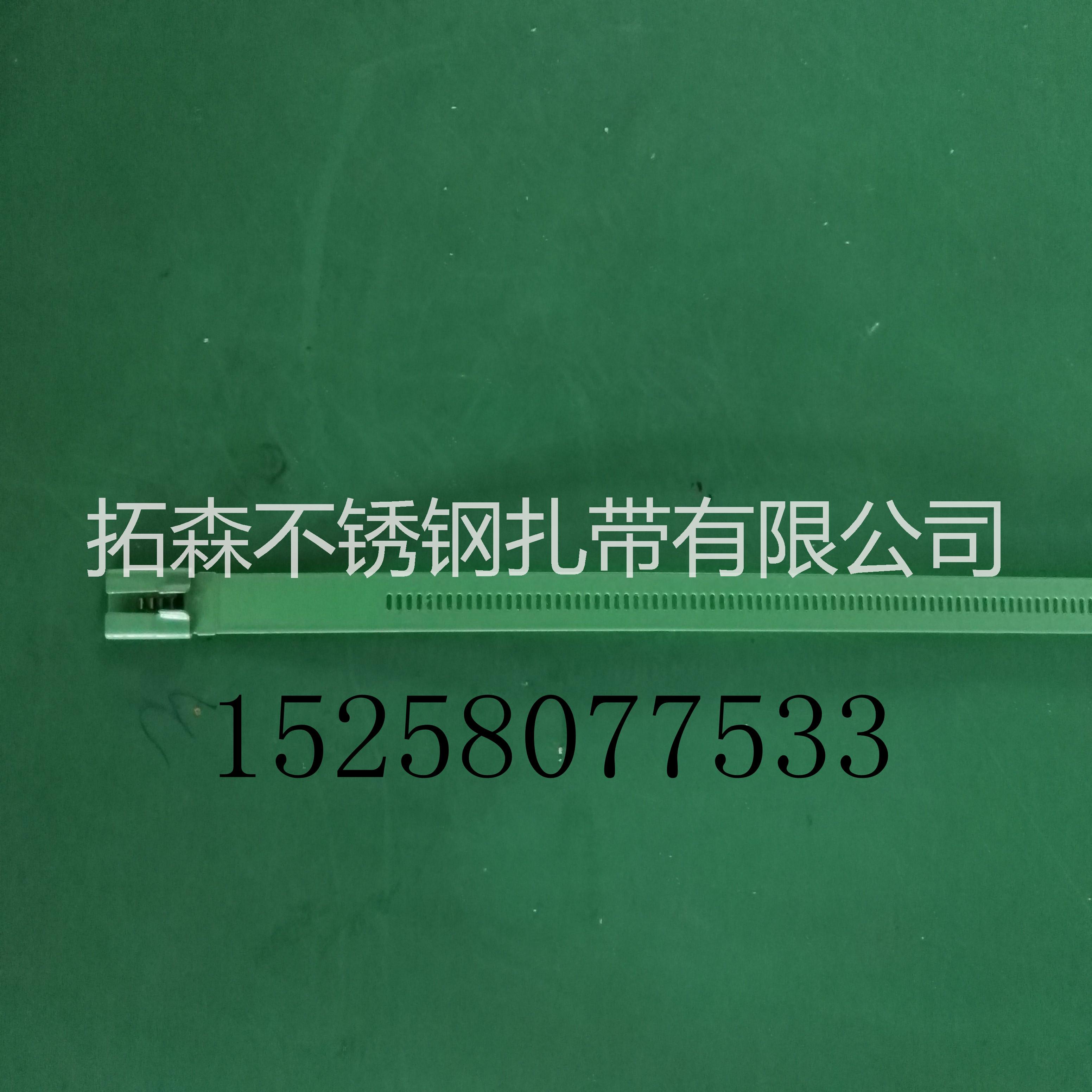 東菀 深圳 階梯式不銹鋼扎帶 金屬扎帶銷售