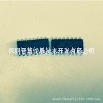 BISS0001 JX 人體紅外感應(yīng)IC芯片