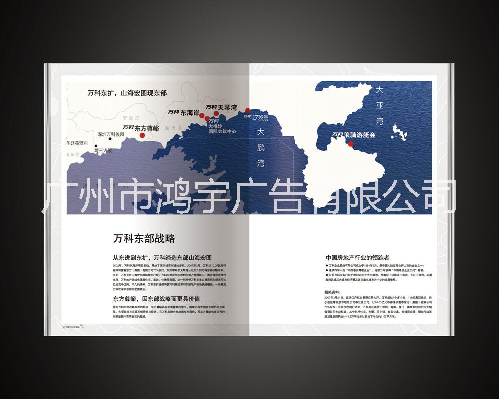海報(bào) 畫冊 畫冊印刷設(shè)計(jì)廣州海報(bào) 畫冊 畫冊定做  海報(bào)畫冊畫冊定制