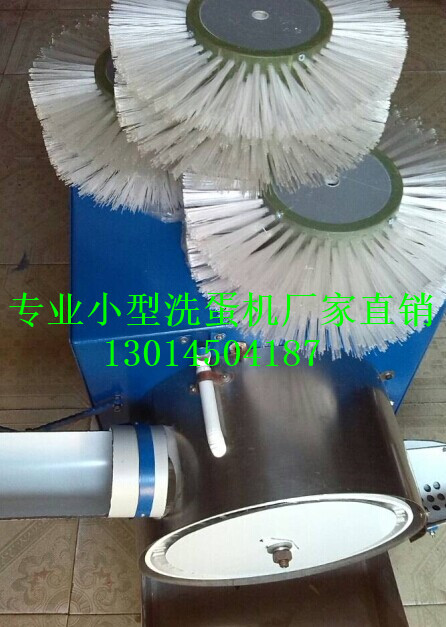 毛刷式洗蛋機(jī)