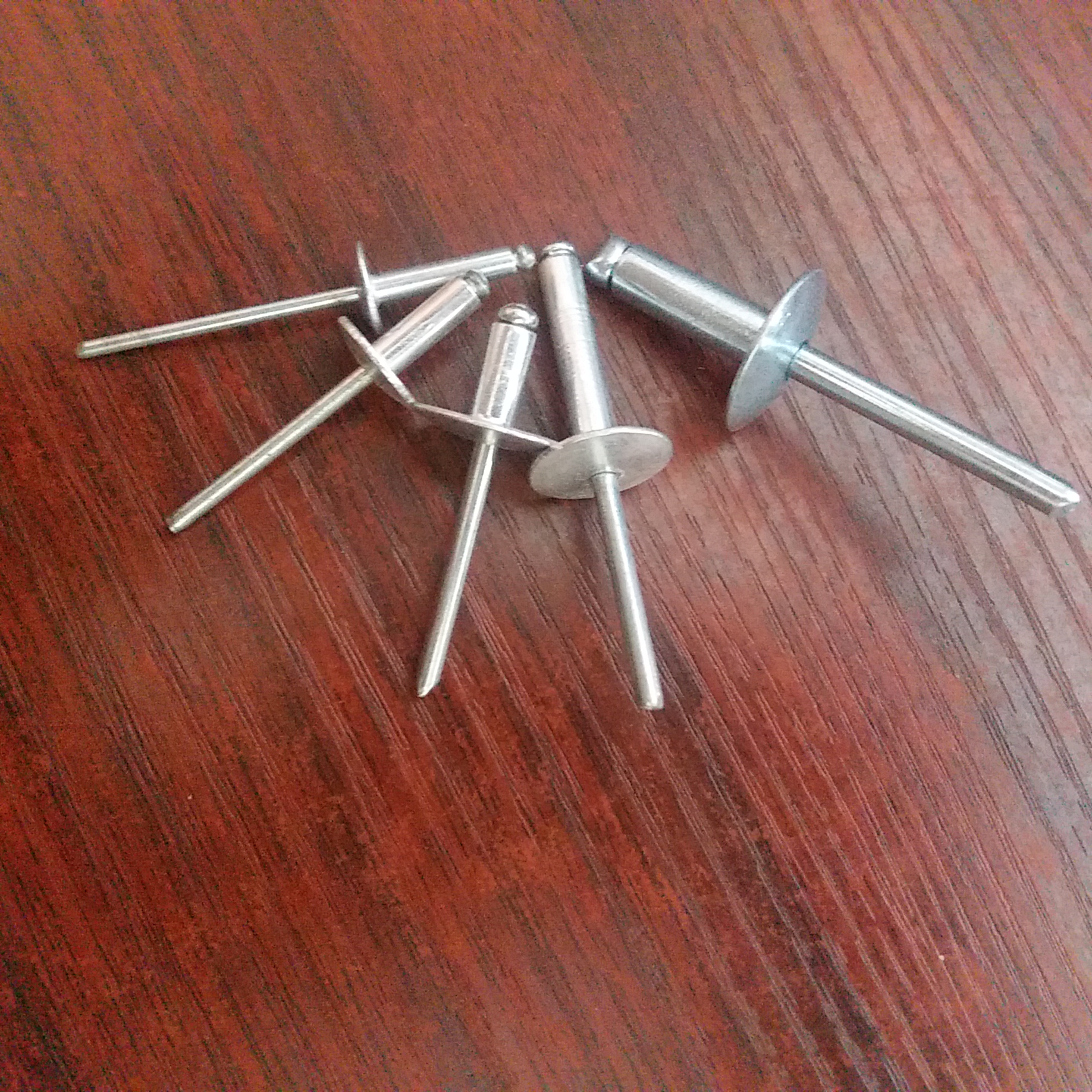 大帽拉鉚釘@永年大帽拉鉚釘廠家